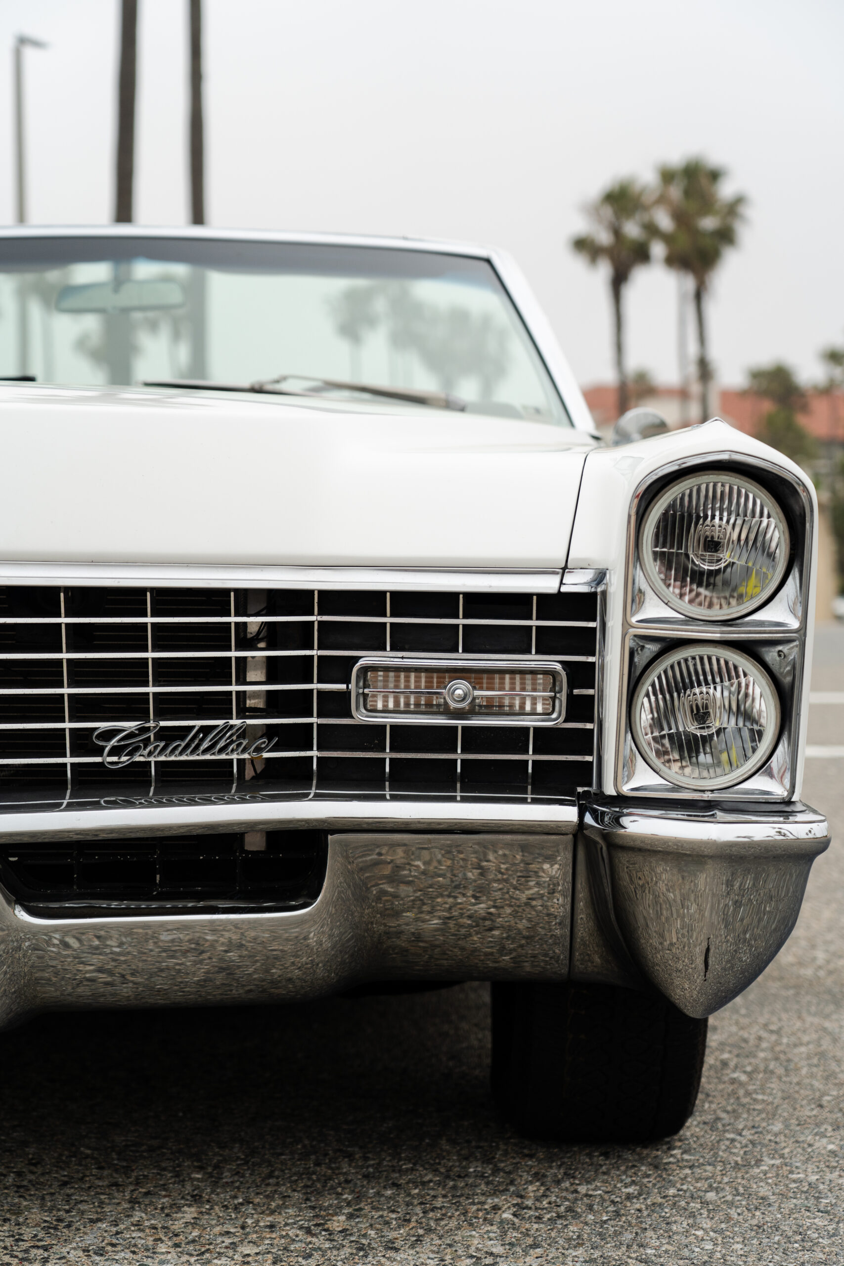 Vehicle Rentals Image