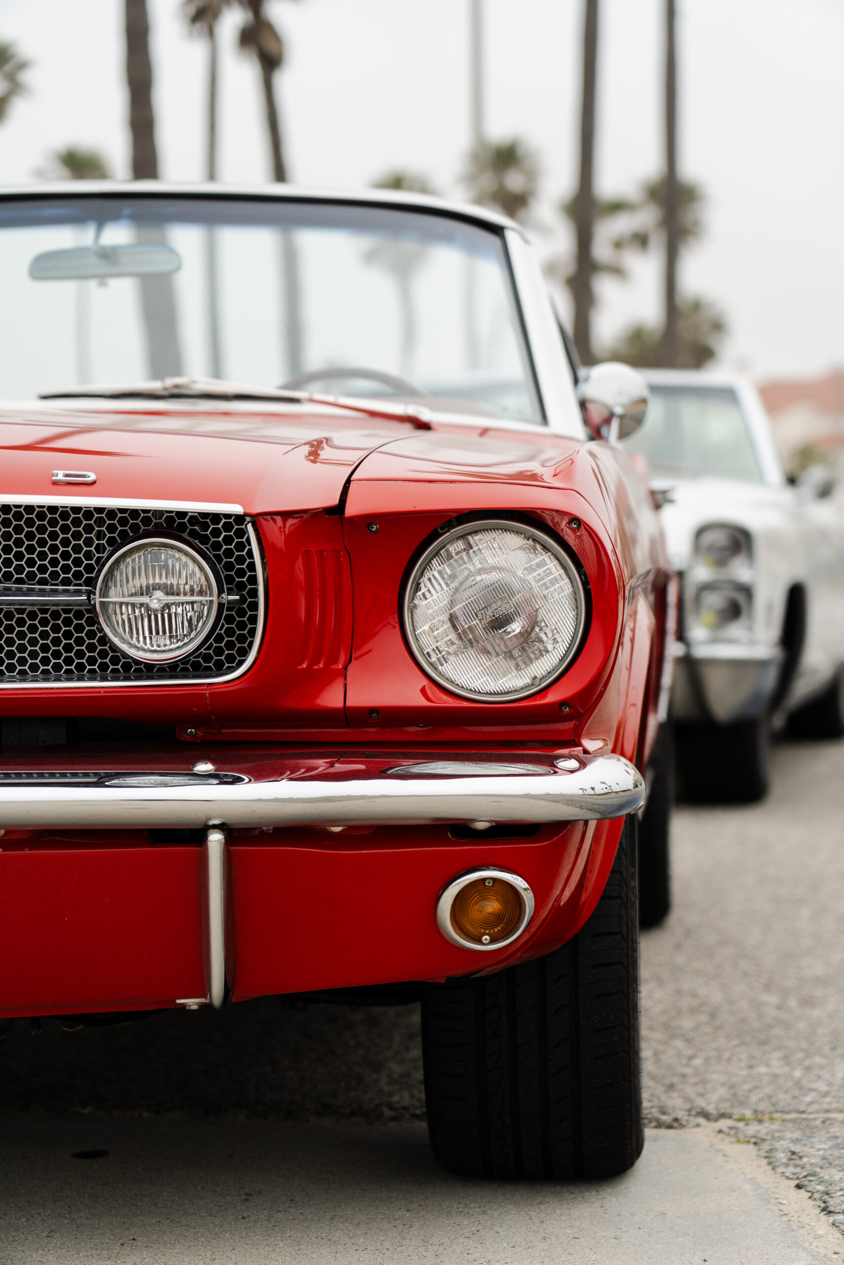 Vehicle Rentals Image