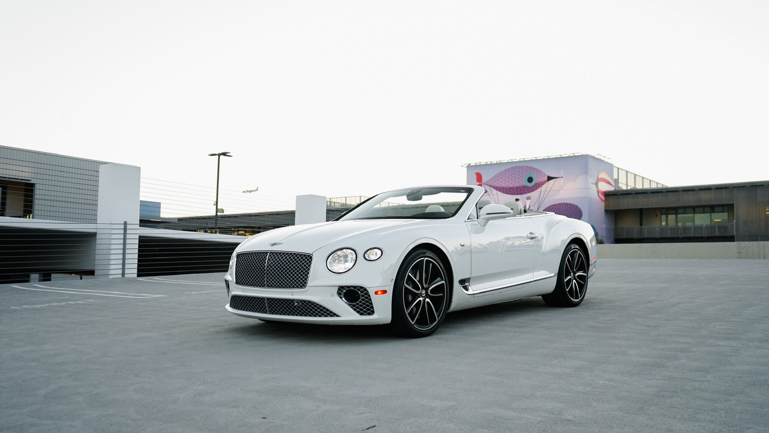 Vehicle Rentals Image